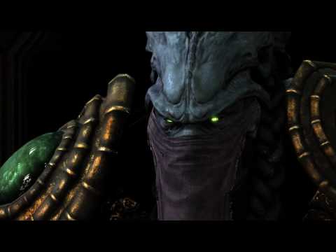 StarCraft II: Wings of Liberty - Raynor & Zeratul