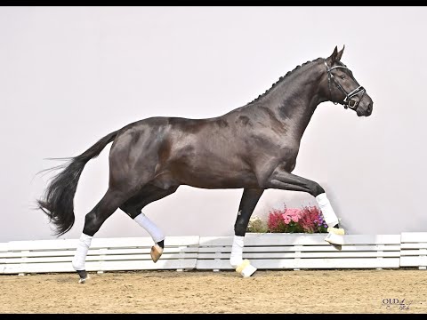 Barbados (Bernay/Desperados/Sandro Hit)