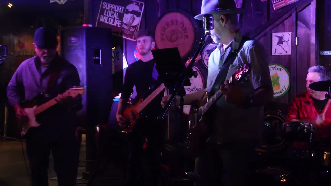 Hire Nobody's Dingo Party cover band Cover Band in Spring, Texas