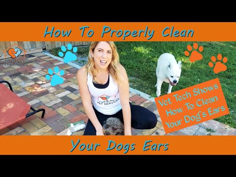 Furbaby Pet Services video.