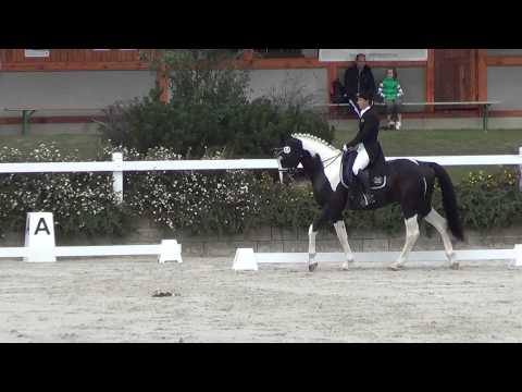 Bernstein Ptýrov ST kur