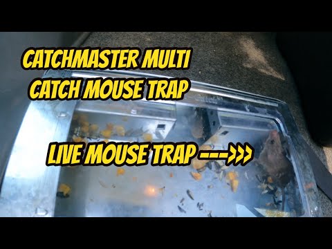 Catchmaster Multi Catch Mouse Trap (Works Great!!!)