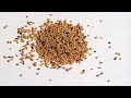 Engineering Probability Lecture 15 Joint Expectations Correlation And Covariance