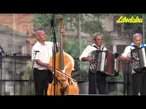 Taraful de muzică populară S.C.A. „Glenfor Ambasador” din Doloave - Melodii populare românești