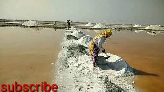 preview picture of video 'सांभर झील राजस्थान $$भारत मे खारे पानी की सबसे बड़ी झील sambhar lake'