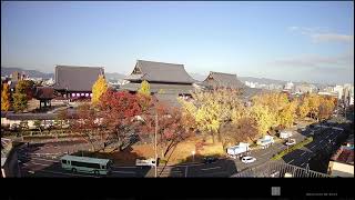 2021/11/25 早朝切り抜き
