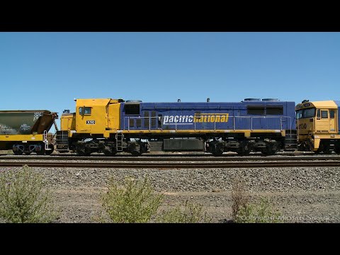 7735V Pacific National Grain Train With 8130 & X50 (20/1/2021) - PoathTV Australian Railways