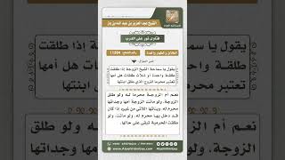 صورة 11384 - حكم مقابلة أم الزوجة ومصافحتها بعد طلاق الزوجة أو موتها -  نور على الدرب