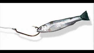 Bait a Hook lyrics Justin Moore