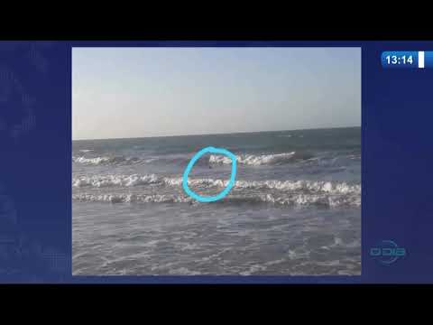 SEMAR acompanha o aparecimento de trubaroÌƒes no litoral piauiense 08 09 20