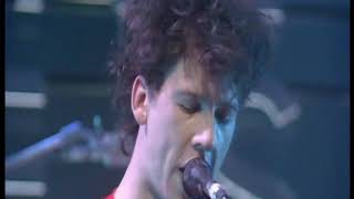 Half Man Half Biscuit, Trumpton Riots