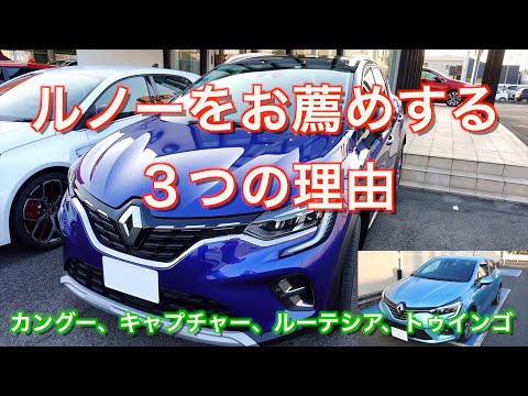 ルノー レイナステラ - 定義