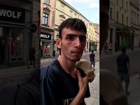 SZCZUR himalajski Patryka jest wart 19 tysięcy złotych!