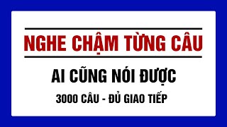 Nghe chậm từng câu - 3000 câu tiếng Anh giao tiếp | ai cũng nói được - 2