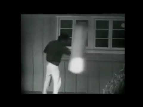 Bruce lee vs Mike Tyson heavy bag