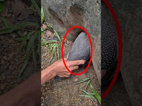 شخص شاف شي غريب داخل الصخره 😱🪨 #shorts