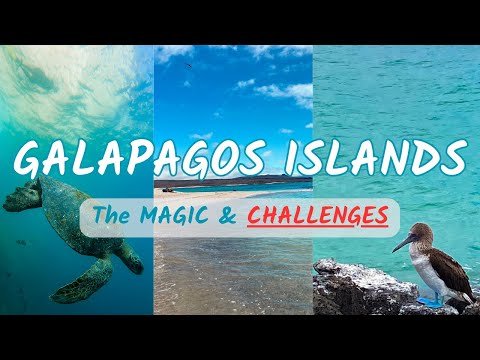 Galapagos Islands A to Z: From Hidden Gems to HARSH REALITIES - Your Ultimate Galapagos Travel Guide
