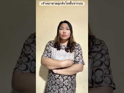 เจ้าหมาช่วยลูกสิงโตขึ้นจากบ่อ #บังเอิญเจอ #funny #comedy #การแสดงเท่านั้น