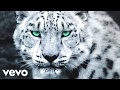 New Future Drake The Jungle Music Video 2025