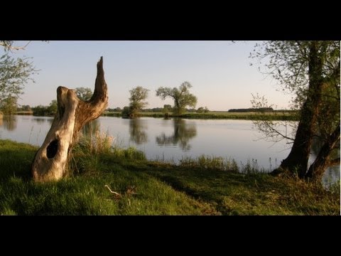 Mit dem Bungalowboot auf der Havel unterwegs