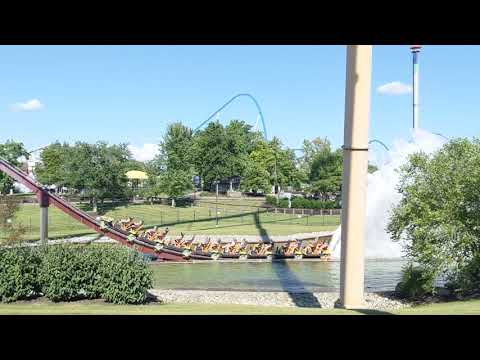 Diamondback short video by Sara Beth Wade