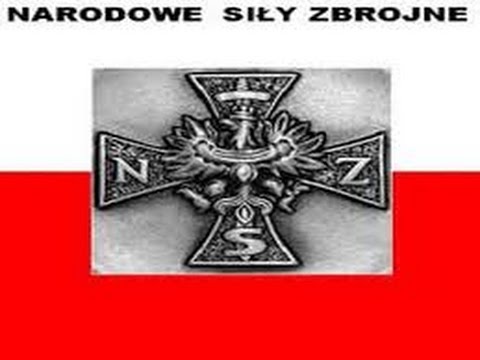 "Idąc ku wolności" - por. Stanisław Grabda  "Bem" NSZ - cały film.