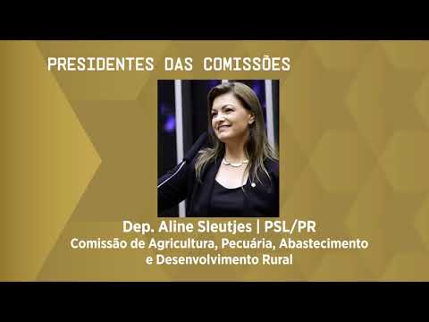 Câmara elege presidentes de dez comissões permanentes da Casa - 10/03/21