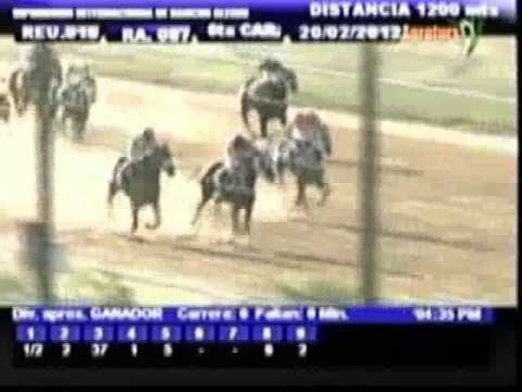 Resumen Lunes, 20 de Febrero de 2012 - Rancho Alegre