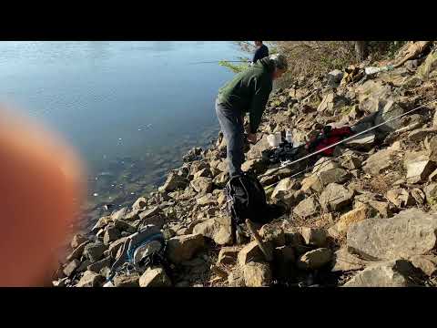 LOJLEEB striper fishing Sacramento River April 2022