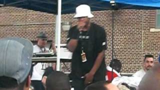 Masta Ace - Crooklyn - Live at Brooklyn Hip Hop Festival 2010