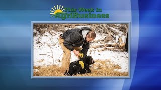 This Week in Agribusiness, Feb. 20, 2021 video