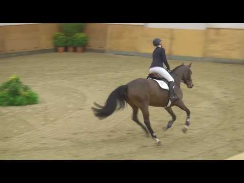 123. Cormita v. Cormint - Lennon