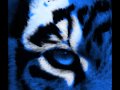 Olivier Bernet - the eye of the tiger 