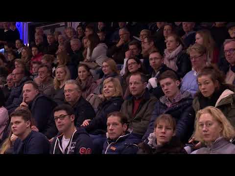 Lord Europe Hengstkollektion Englisch 2019