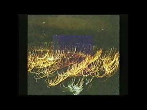 nabih~ - estación de incendio (full album/vhs)