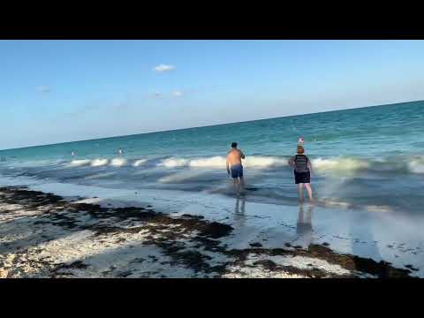 Videos del Riu Palace Costa Mujeres 5★ en Cancún, México
Ver Más
Ver
Precios
21
Cerrar
Consulta por Whatsapp 🇦🇷
Booking
Tripadvisor
Expedia
Agoda
Travelocity
Orbitz
Priceline
Trip
Skyscanner
Despegar
Kayak
Hoteles
Bestday
Destinia
Trivago
Almundo
Lastminute
Hotwire
Cheaptickets
Tui
Wotif
