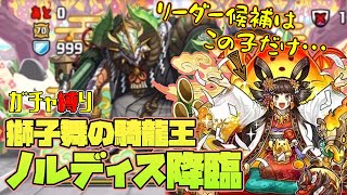 【パズドラガチャ縛り】すみません、正月キャラこの子しかいないんです･･･【ゆっくり実況】part.81