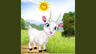 Sal de Ahi Chivita Chivita