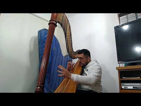 Wilhelm Posse: Concert Etude Nº 1.