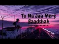 Tu Na Jaa Mere Baadshah Slowed Reverb By Shivrajslowed