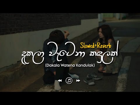 Dakala Watena Kandulak - දැකලා වැටෙනා කඳුලක් (Slowed+Reverb)