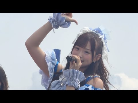 動画のタイトルなど