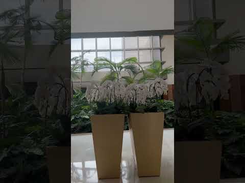 #brasil #brazil #saopaulo #sãopaulo #sorocaba #viagem #shorts