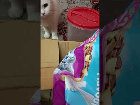 please subscribe like comment ❤❤🙏