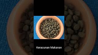 Download lagu Causes of Diarrhea in Cats mp3