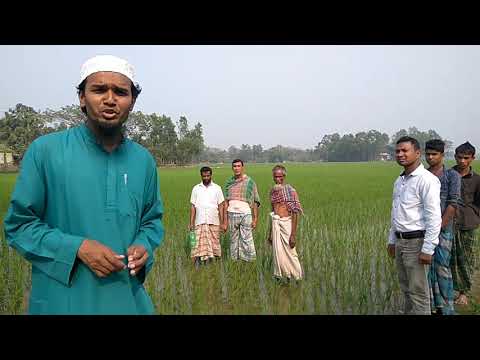 AWD Technology for rice cultivation