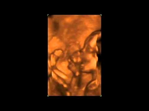 Dr. Oga - Od tisuću želja