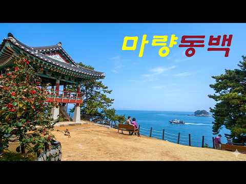 마량리동백나무숲과 해돋이