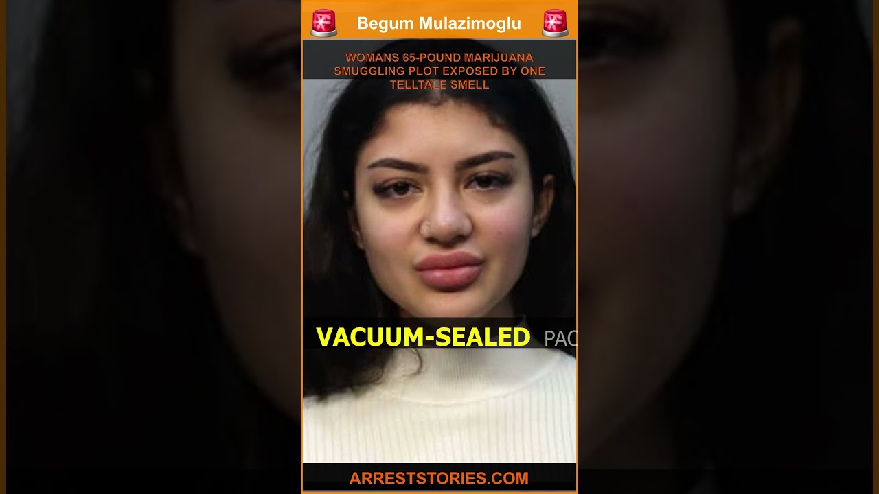 WOMANS 65-POUND MARIJUANA SMUGGLING PLOT EXPOSED BY ONE TELLTALE SMELL