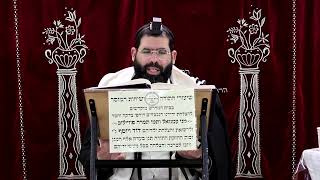 זבחים דף צ"ה ע"ב ¤ הרב נתנאל אברז'ל ¤ בית הכנסת "בית מרדכי" (מוסדות תורת דוד) - התמונה מוצגת ישירות מתוך אתר האינטרנט יוטיוב. זכויות היוצרים בתמונה שייכות ליוצרה. קישור קרדיט למקור התוכן נמצא בתוך דף הסרטון